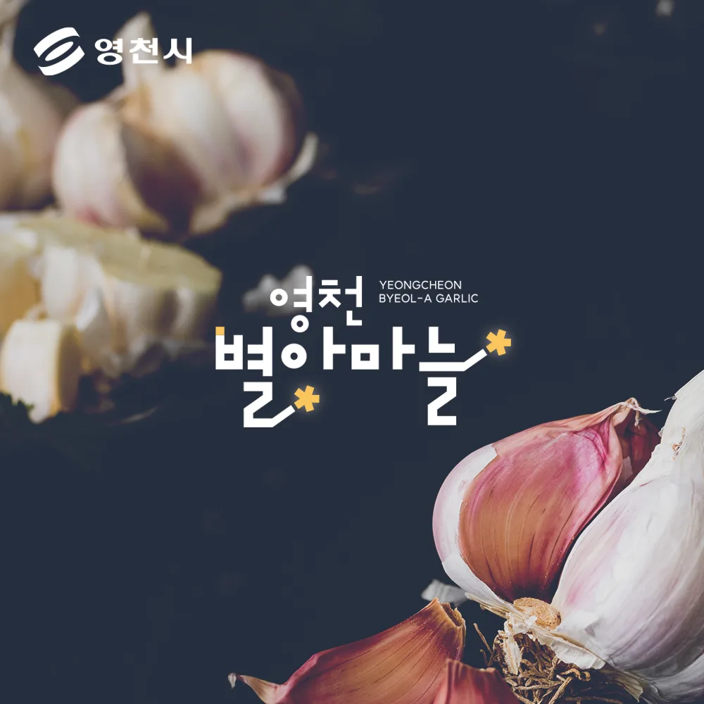 영천별아마늘 로고 디자인 2